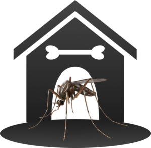 Mosquito control Skagit County