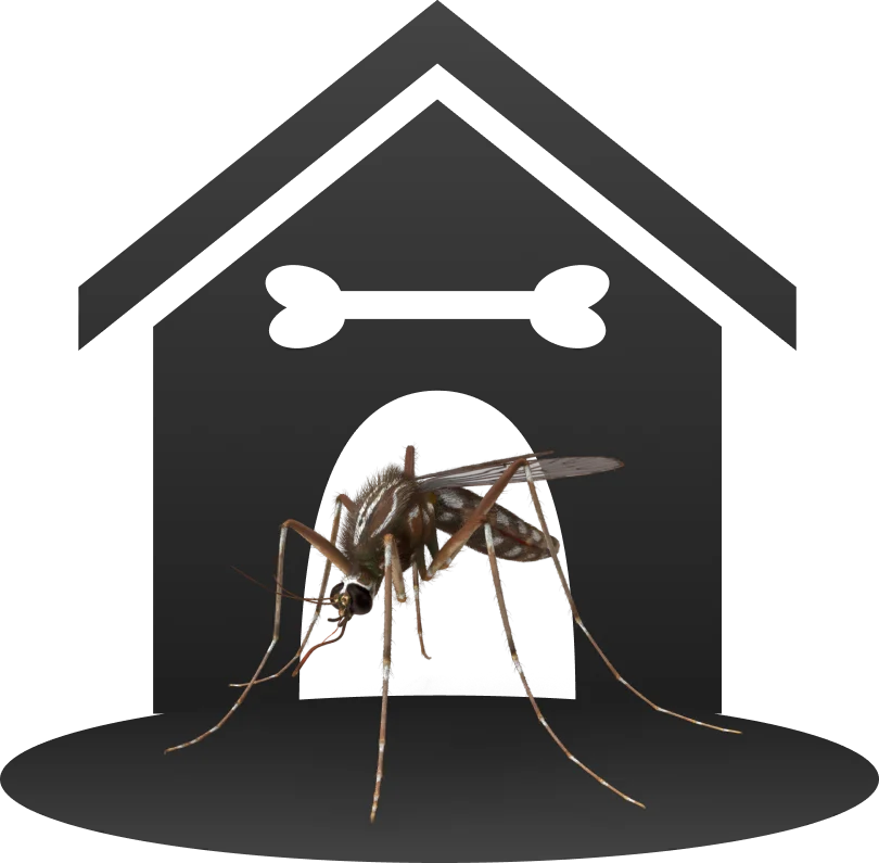 Mosquito control Skagit County