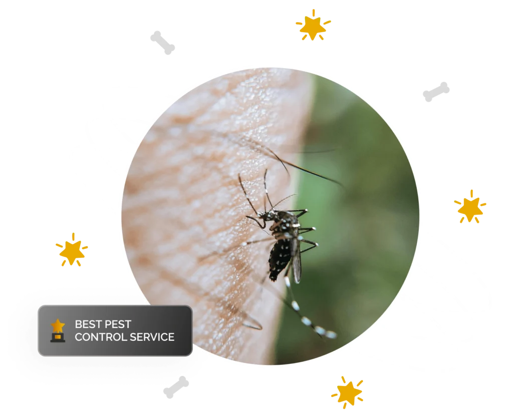 mosquitoheroimg min