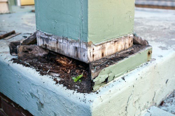 termites can cause unknown damage to your home