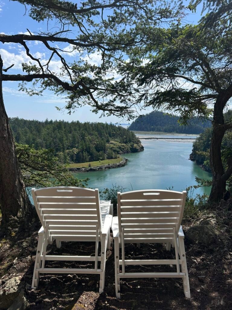 Local view of a PNW river