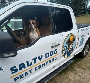 Lily in the Pest Control Truck