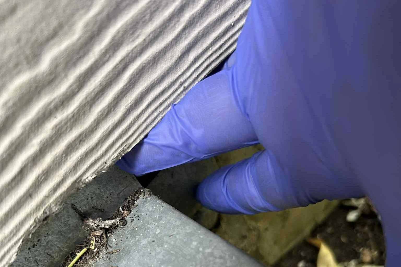 Entry Holes & Gaps