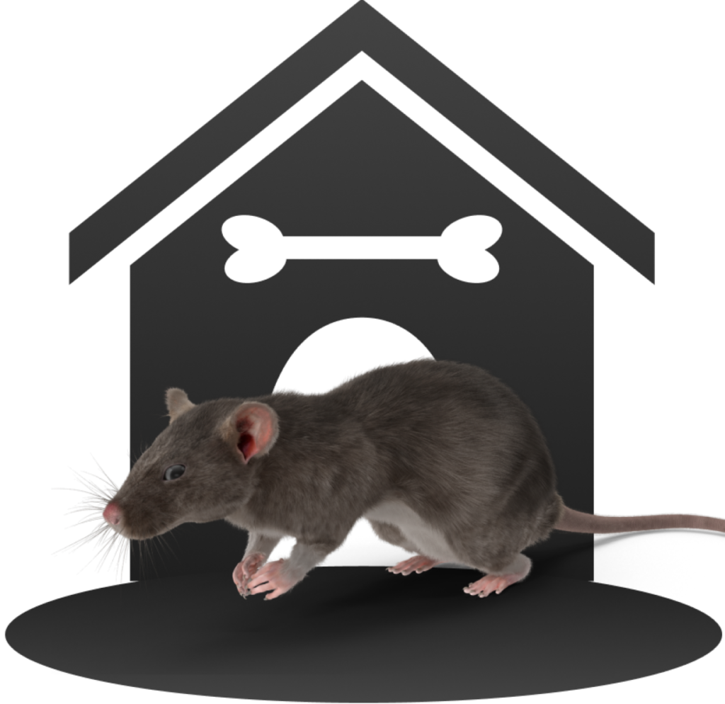 voles — Salty Dog Pest Control, Whidbey Island