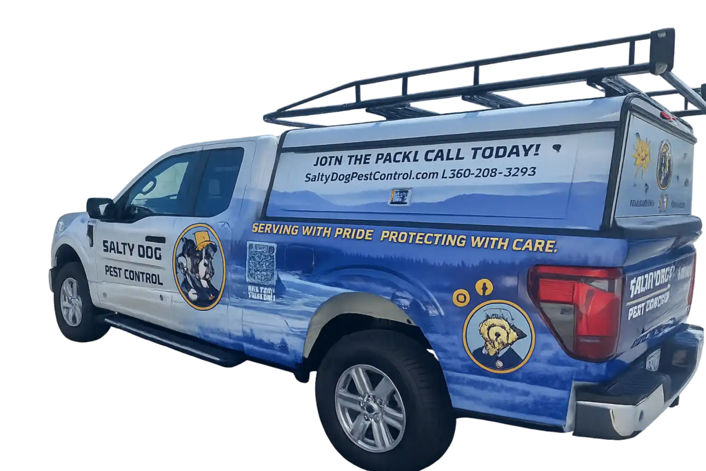 Salty Dg Pest Control's New Truck in Whidbey Island and Skagit County WA