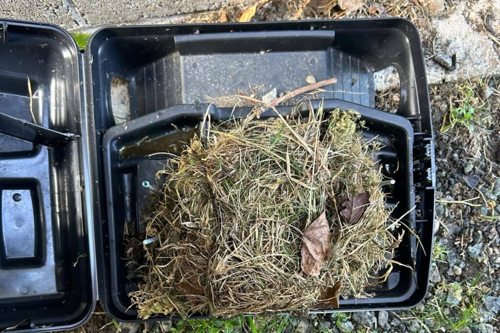 Targeted Rodent Control Treatment Targeted Rodent Control Treatment