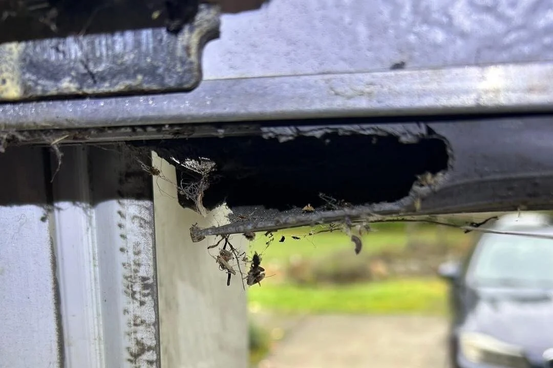 gnaw marks on garage weather stripping