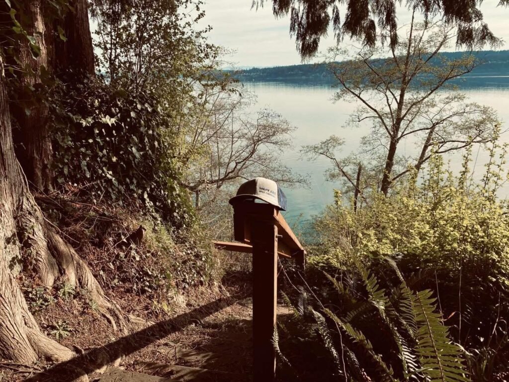 Salty Dog Pest Control hat overlooking a wooded waterfront property in WA