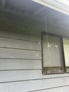 Spiderweb on a home in Whidbey Island